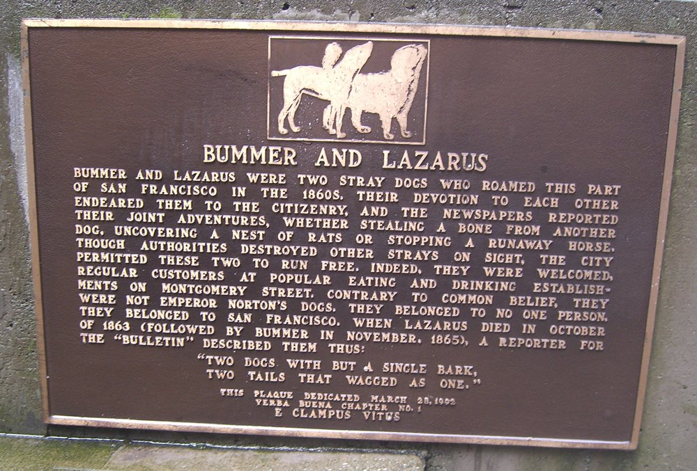 Bummer and lazarusS