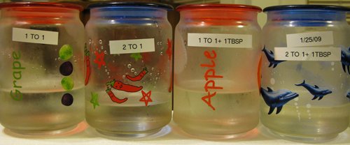 Syrupjars