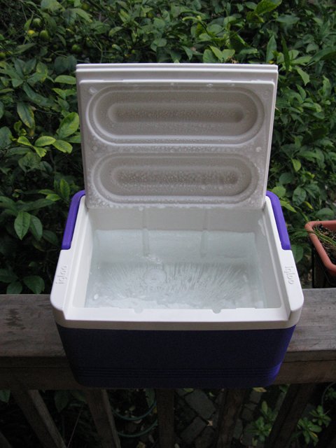 Iceincoolers