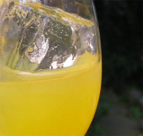 Perudriver cocktail pisco orange juice and orange liqueur