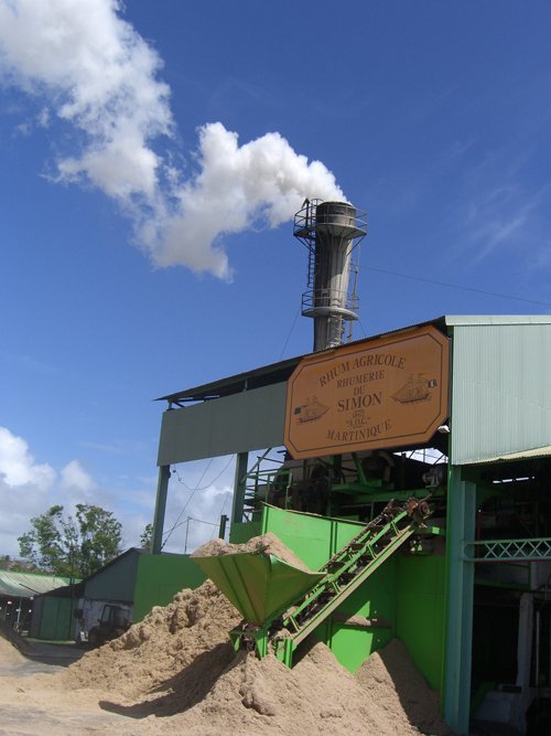 Sugar cane burning at clement small