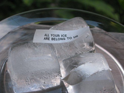 All your ice_tn