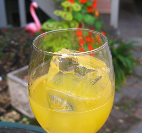 Perudriver cocktail pisco orange juice and orange liqueur