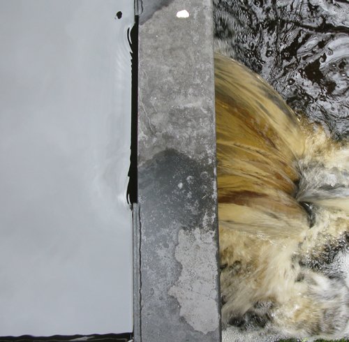 Dalmore Distillery peat filled water is browns