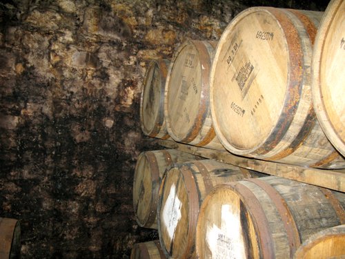Fettercairn distillery barrels moldy walls