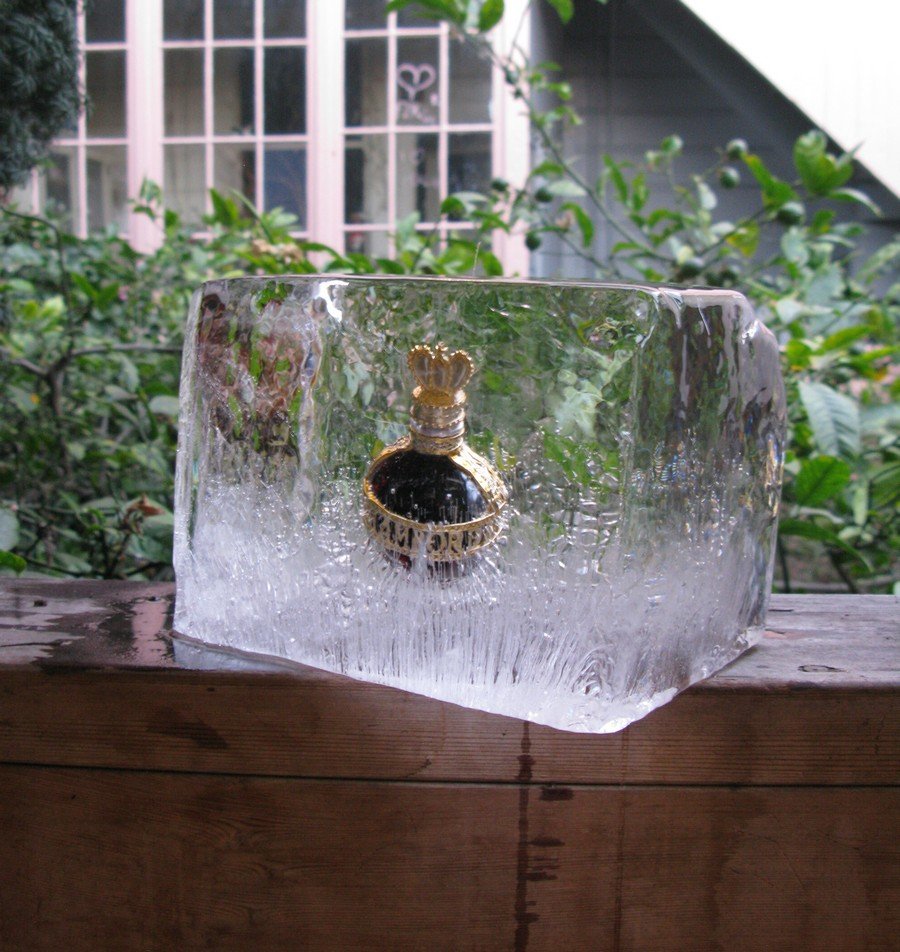 Bottle in clear ice 81_tn