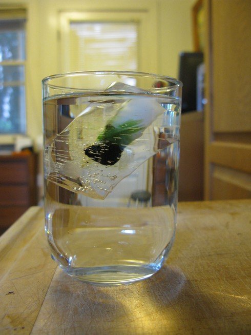 Ice in glass_tn