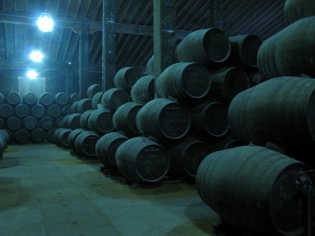 Bodegas grupo estevez 14_tn