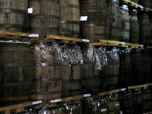 Barrels with plastic to prevent evaporation tequila olmeca altos_tn