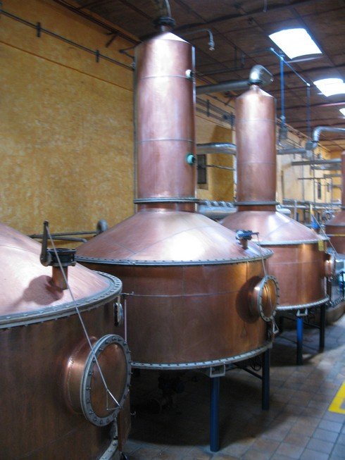 Copper pot stills tequila jose cuervo distillery2_tn
