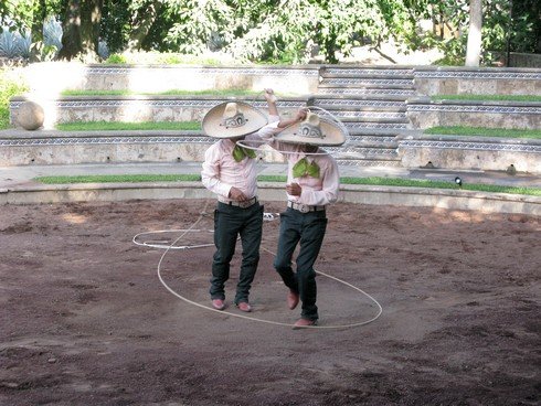 Horse and lasso show tequila jose cuervo distillery4_tn