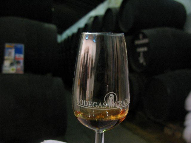 Bodegas tradicion glass 4_tn