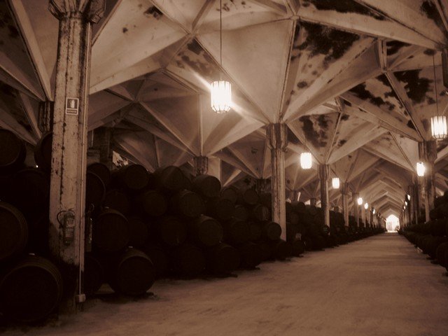 Bodegas williams and humbert12_tn