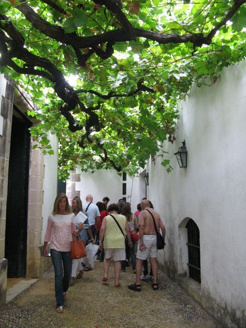 Bodega Gonzalez Byass24_tn