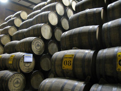 Aging casks patron tequila distillery_tn