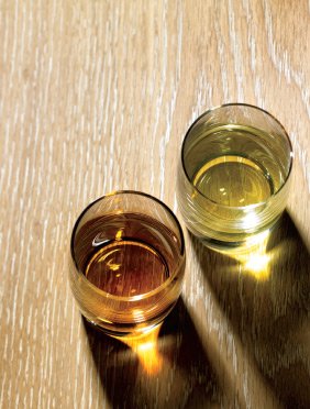 Pickle back