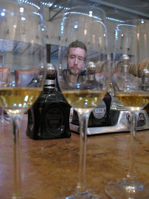 Michael B Dougherty casa noble3_tn