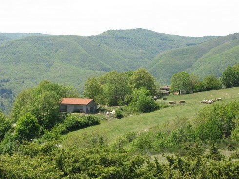 Hills Tuscany Juniper Harvest with Bombay Sapphire_tn