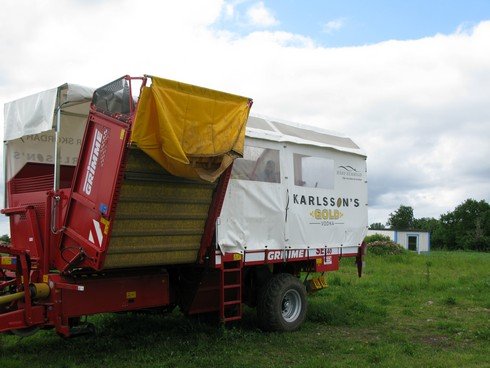 Potato truck_tn