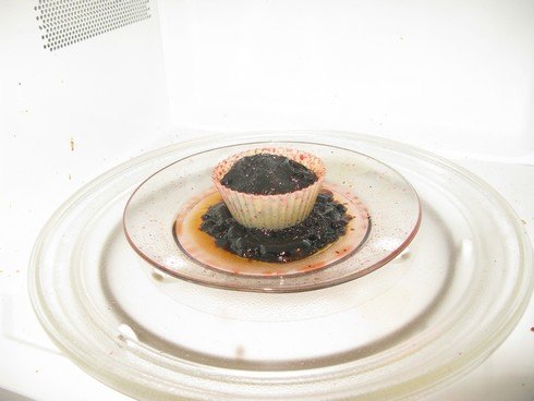 Microwave fail dehydrated campari1_tn