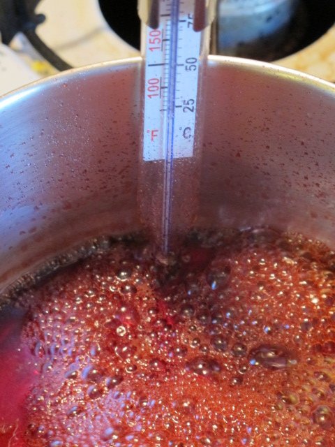 Heating campari stovetop