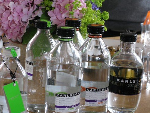 Vintage vodka tasting_tn