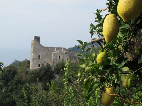Amalfi coast lemon tour monastary lemon view_tn