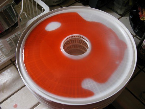 Wet campari dehydrator_tn