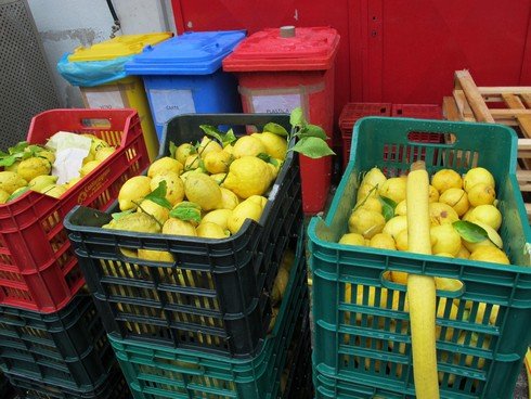 Castier agrumi de riso washing lemons2_tn