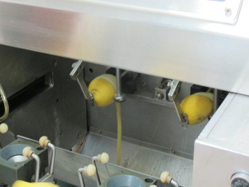 Castier agrumi de riso peeling machine2_tn