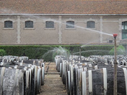 LEnclose barrels Noilly Prat Marseillan France12_tn