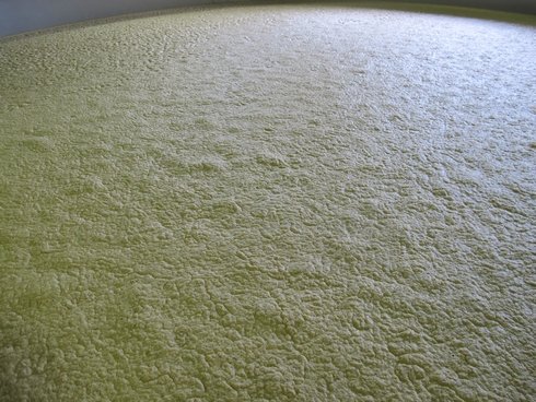 George Dickel distillery fermenting_tn