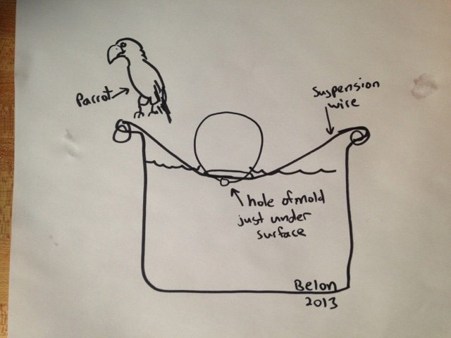 Parrot
