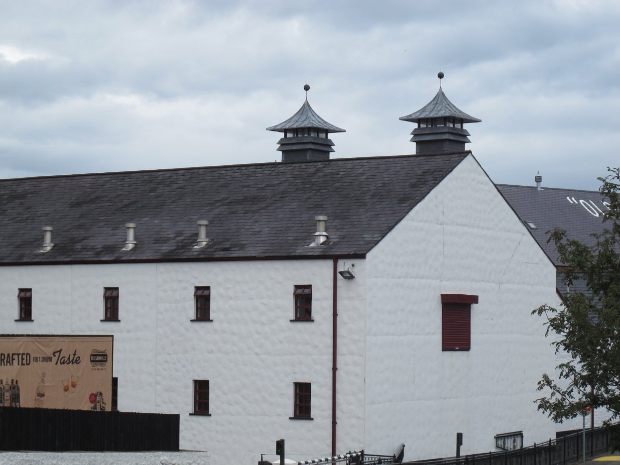 Bushmills7