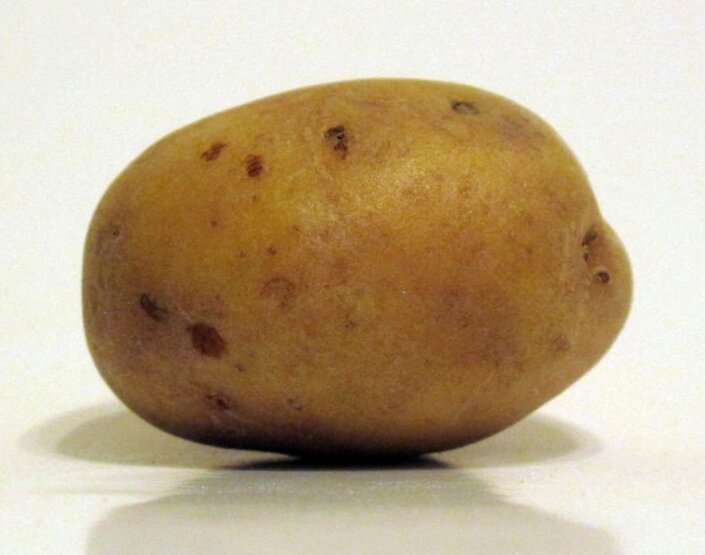 Potato10