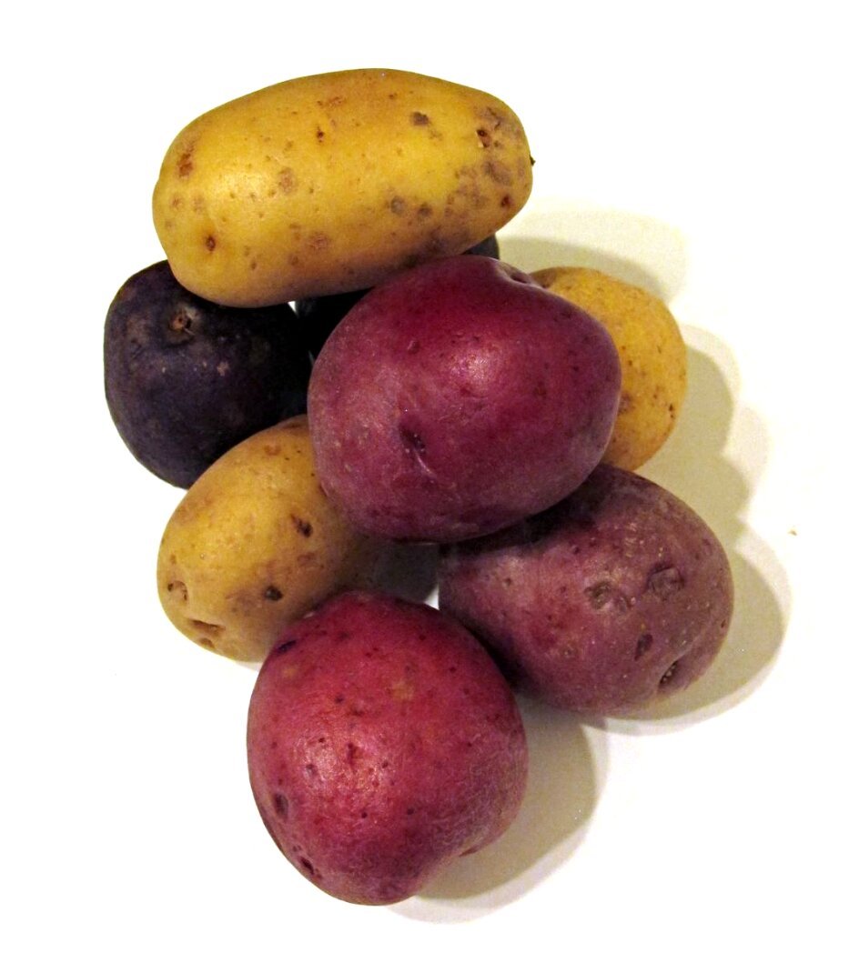 Potato4