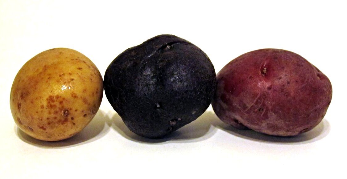 Potato6