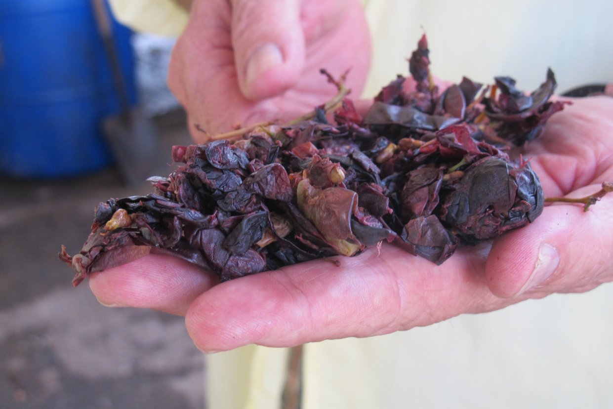 Vinas de Oro Pisco Distillery Peru grape skins2