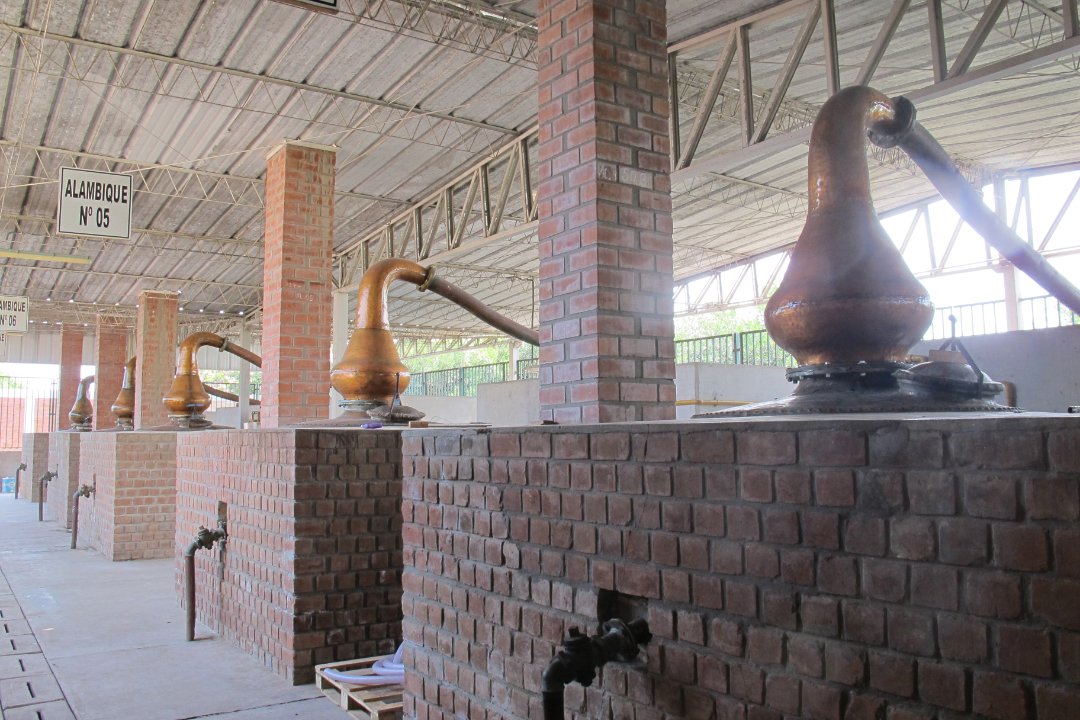 Vinas de Oro Pisco Distillery Peru still5