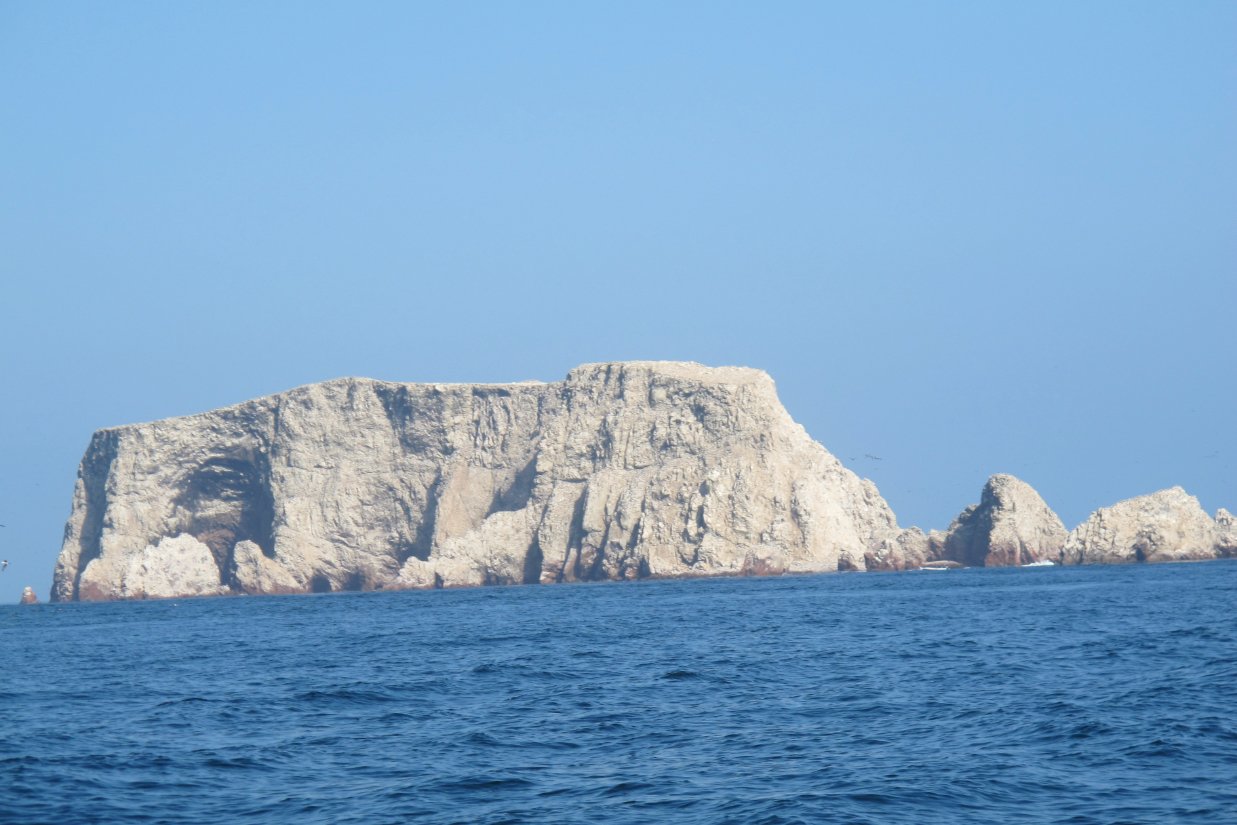 Ballestas Island Boat Tour Paracas Peru pelicans2