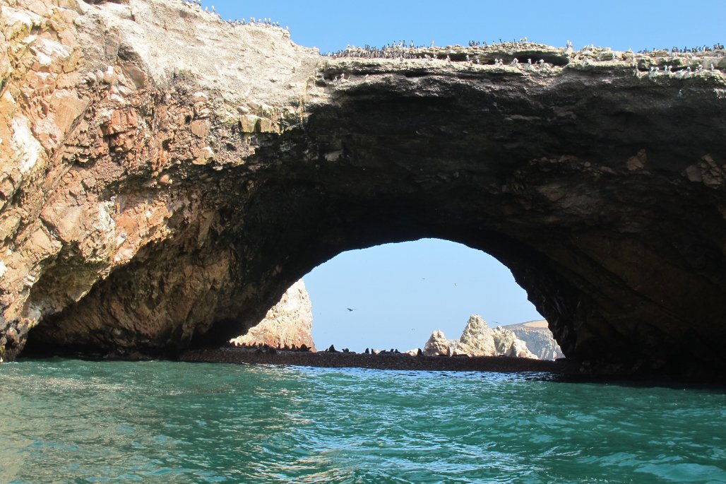 Ballestas Island Boat Tour Paracas Peru pelicans2