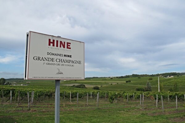 Vineyards for Hine Cognac Grande Champagne8