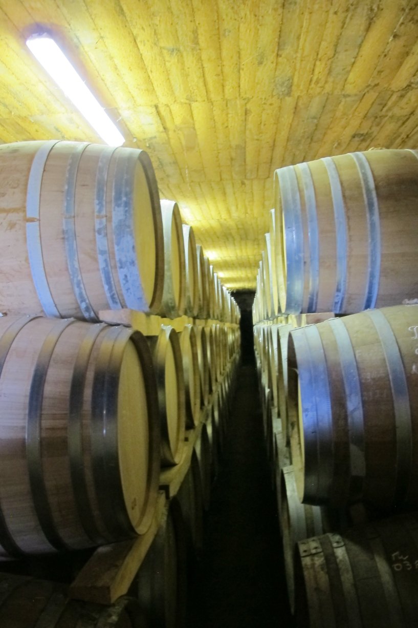 Hine cognac barrels2