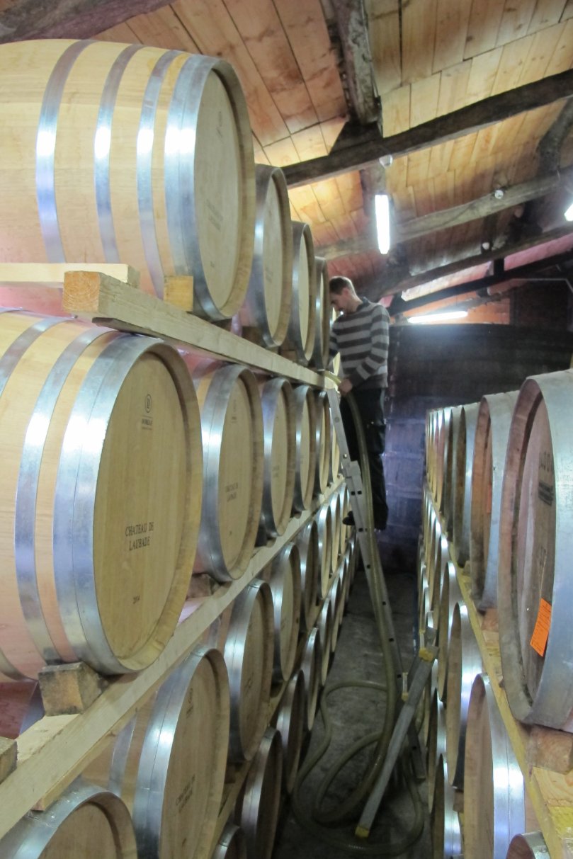 Cellar master filling barrels Chateau de Laubade Armagnac
