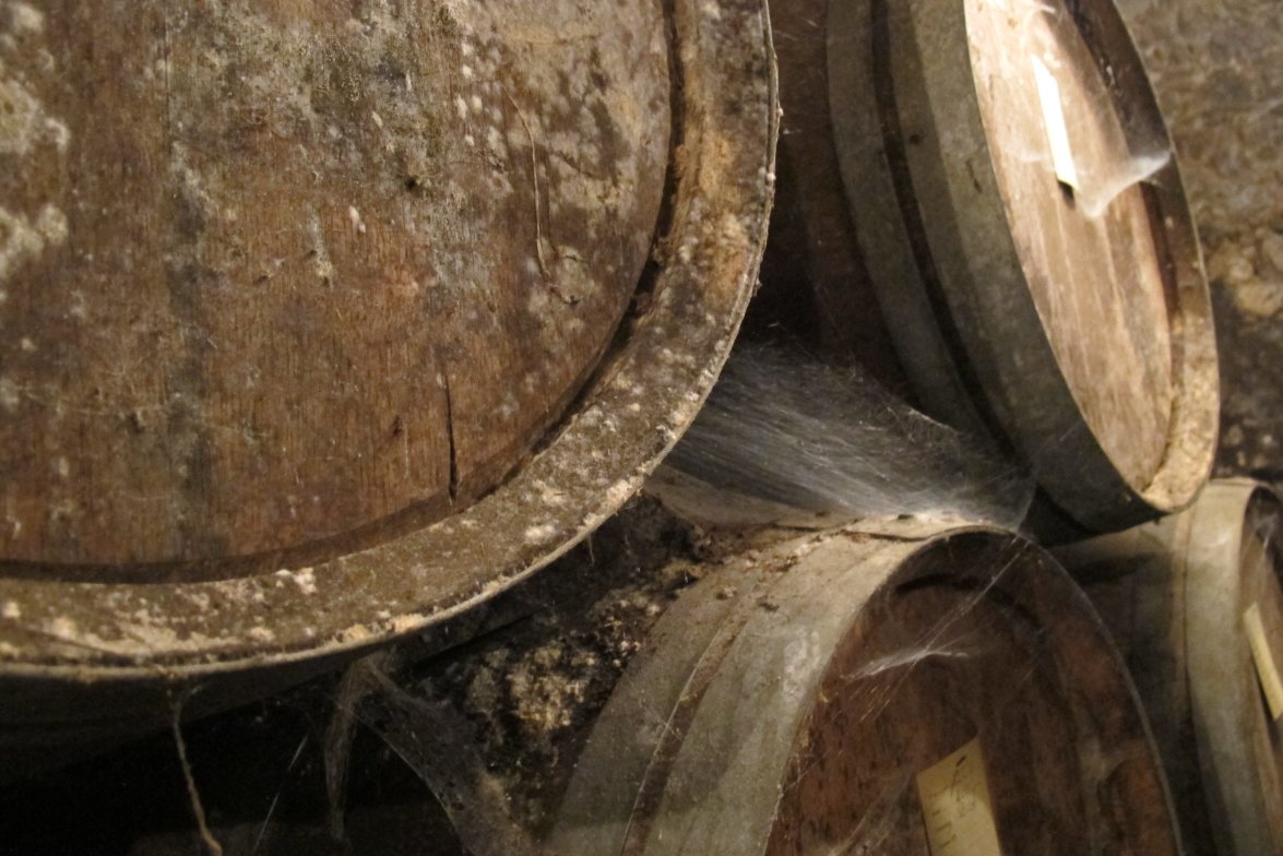 Spiderwebs Chateau du Tariquet Armagnac