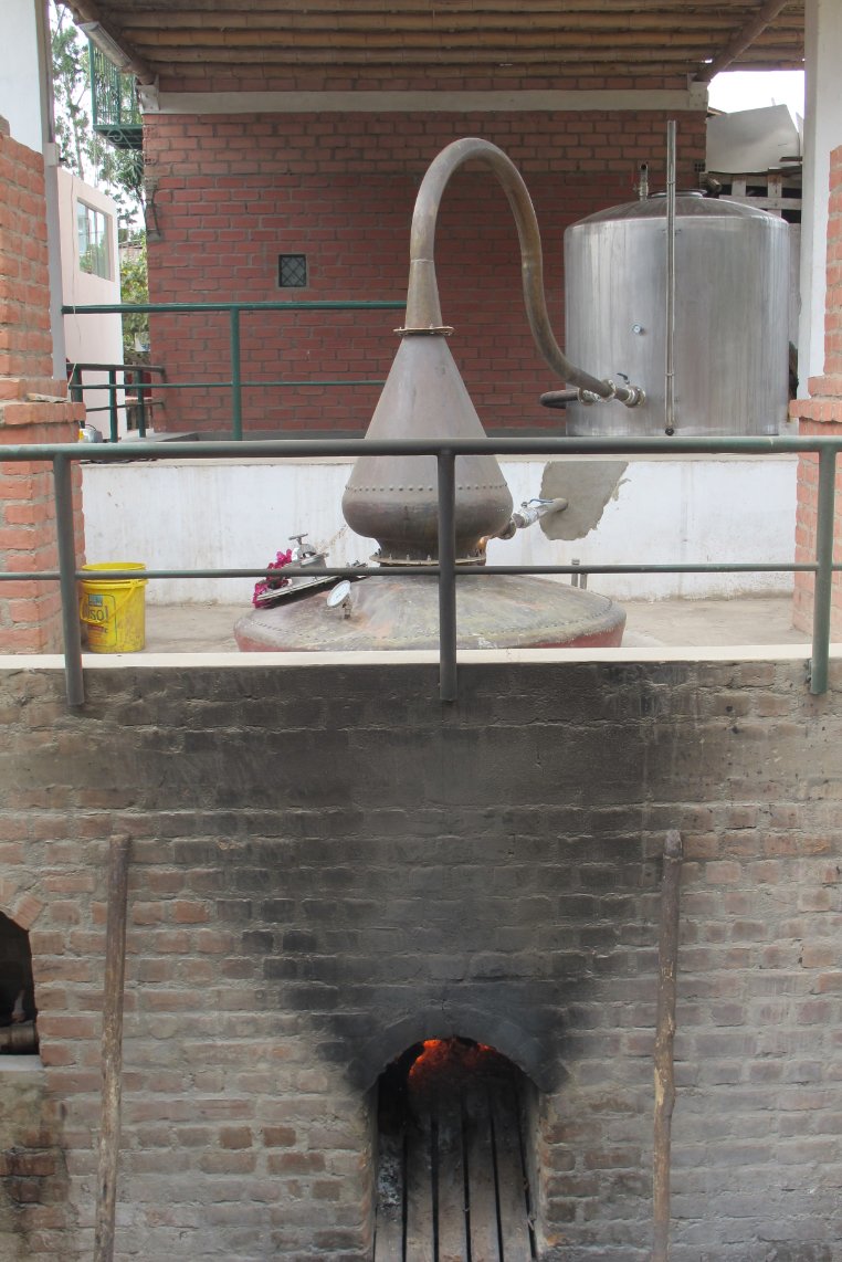 Bodega Dona Juanita Tres Generaciones Pisco Peru still3