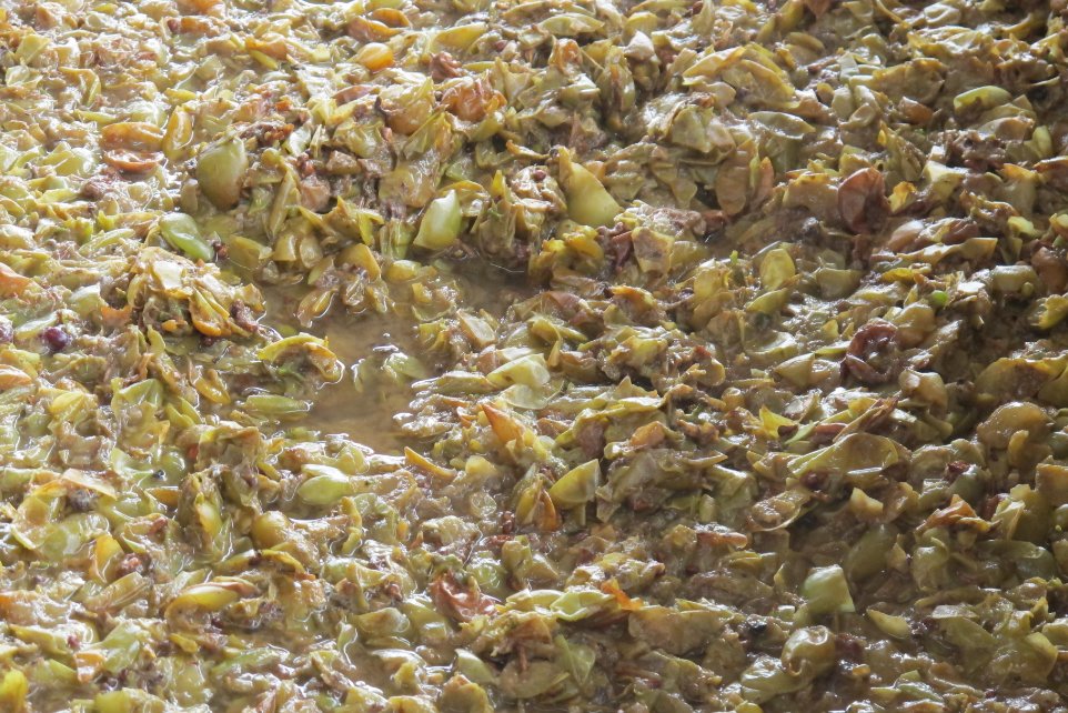 Bodega Dona Juanita Tres Generaciones Pisco Peru fermenting grape skins3