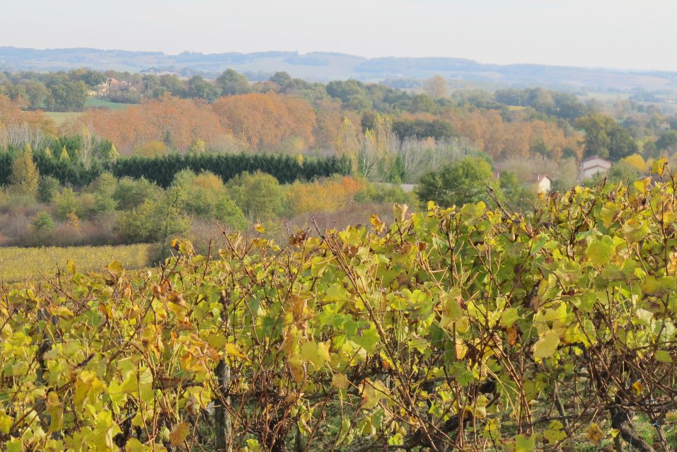 View Armagnac Delord 2