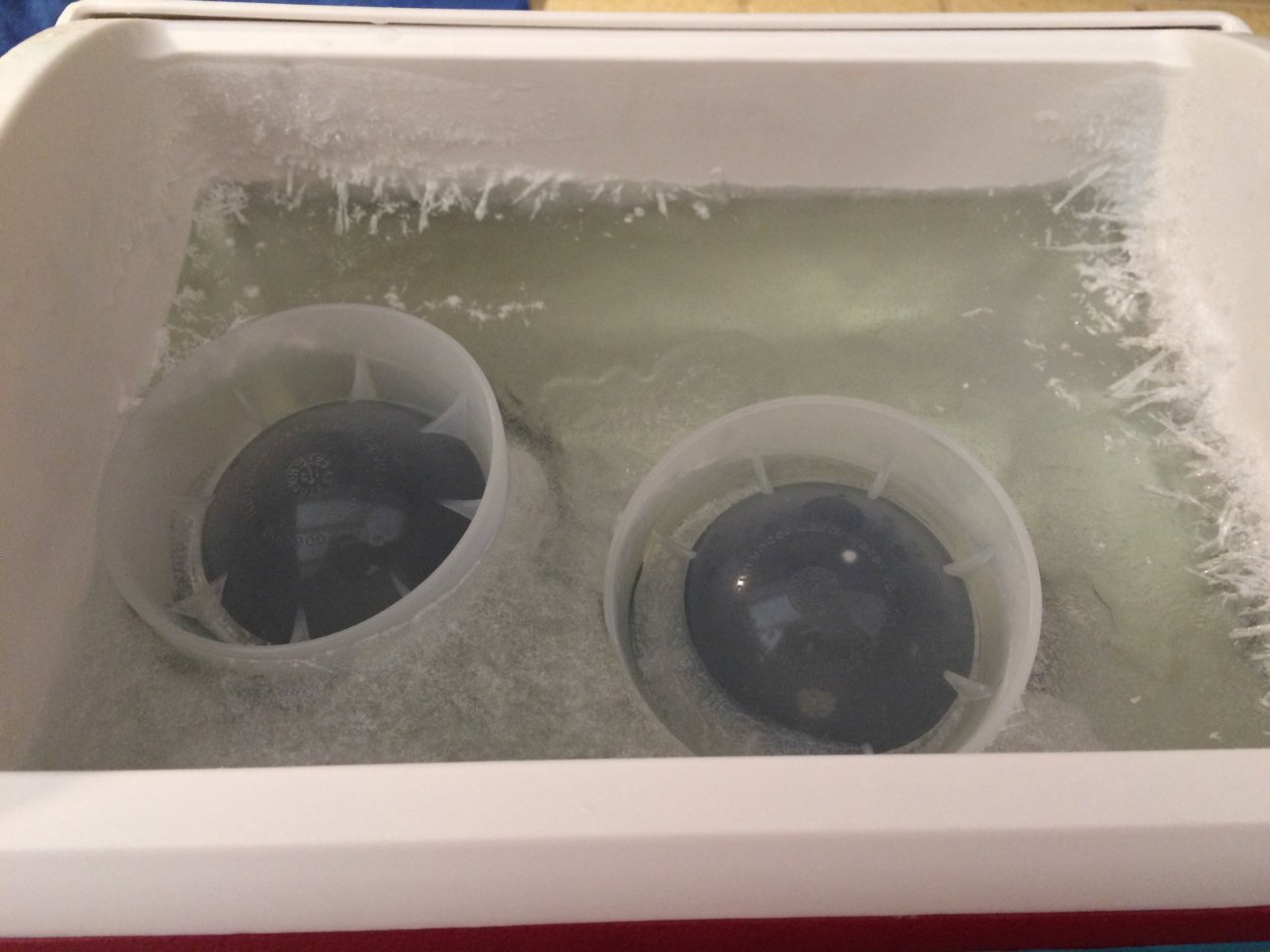 Frozen ice molds