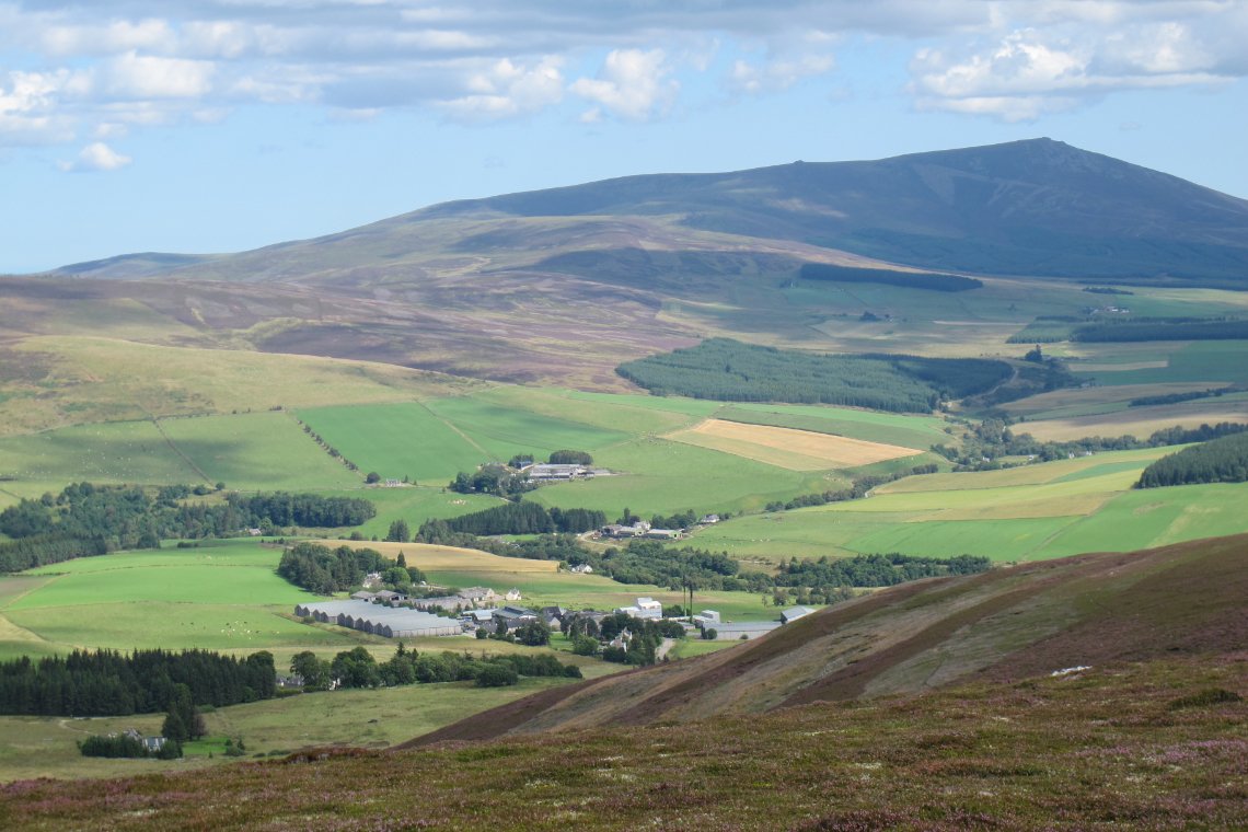 Glenlivet in Valley
